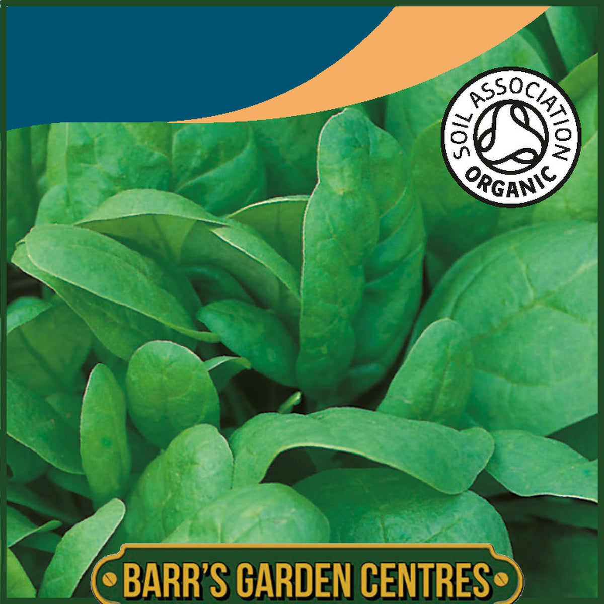 Johnsons - Organic Vegetable - Spinach Renegade F1 - 250 Seeds