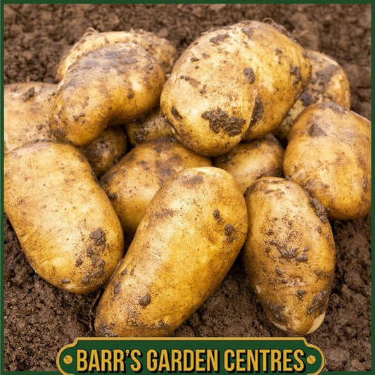 Sharpes Express Potatoes 2KG