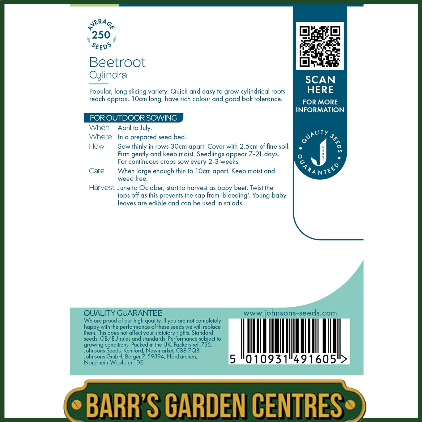 Johnsons - Beetroot Cylindra - 250 Seeds