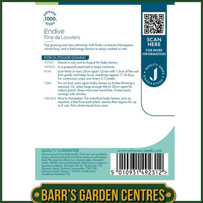 Johnsons - Endive Fine De Louviers - 1000 Seeds