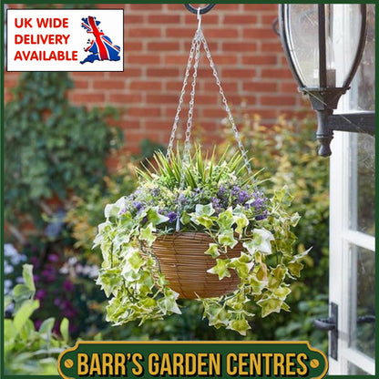 Smart Garden Regal Hanging Basket - Lilac Bloom