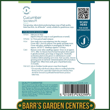 Johnsons - Cucumber Socrates F1 - 5 Seeds