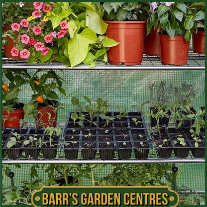 Smart Garden Gro-Zone Max Shelved Growhouse
