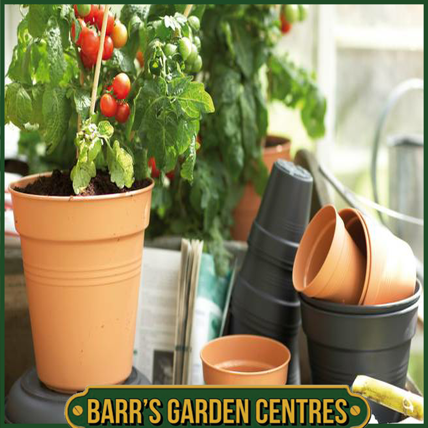 Elho Green Basics Growpot (Mild Terra)