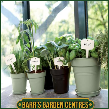 Elho Green Basics Growpot (Stone Green)