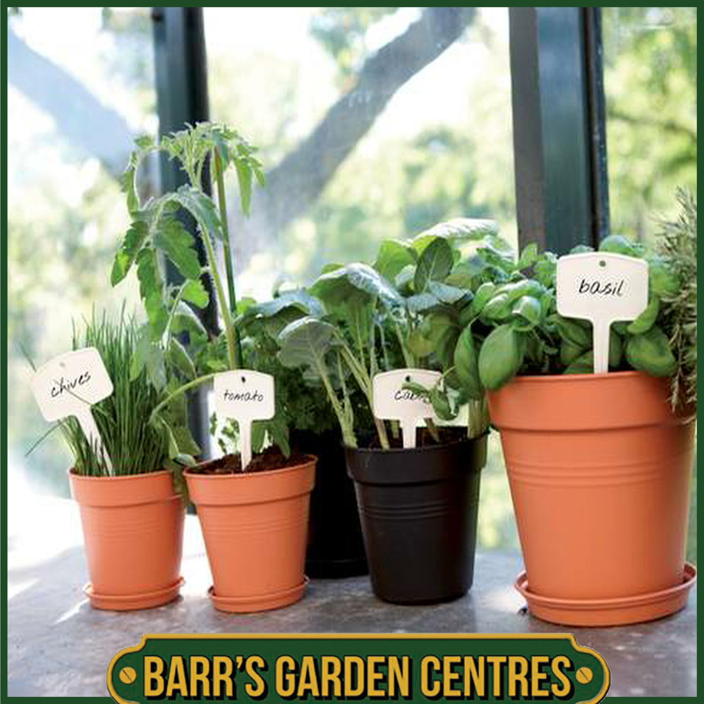 Elho Green Basics Growpot (Mild Terra)