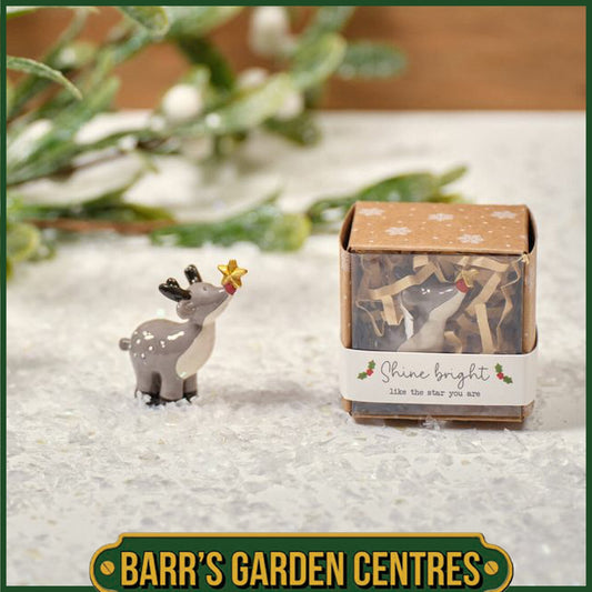 Christmas Tiny World Resin Reindeer Keepsake Ornament with Gift Box