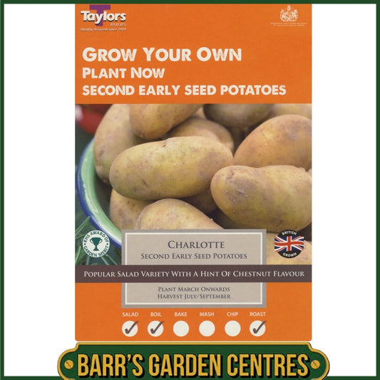 Charlotte Potatoes 10 Pack