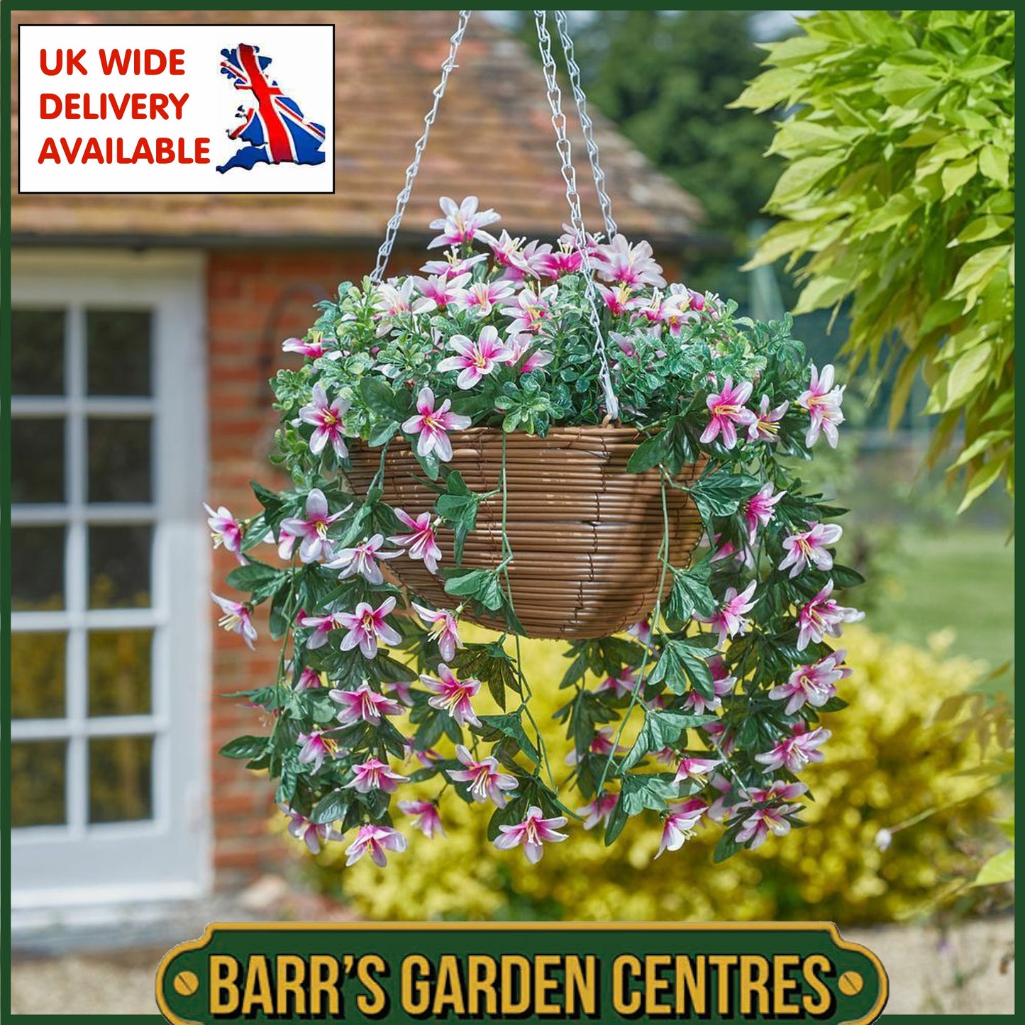 Smart Garden Regal Hanging Basket - Star Glazing Lilies