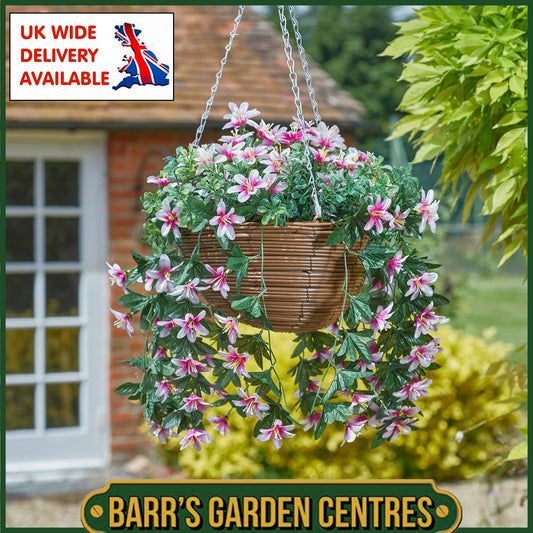 Smart Garden Regal Hanging Basket - Star Glazing Lilies