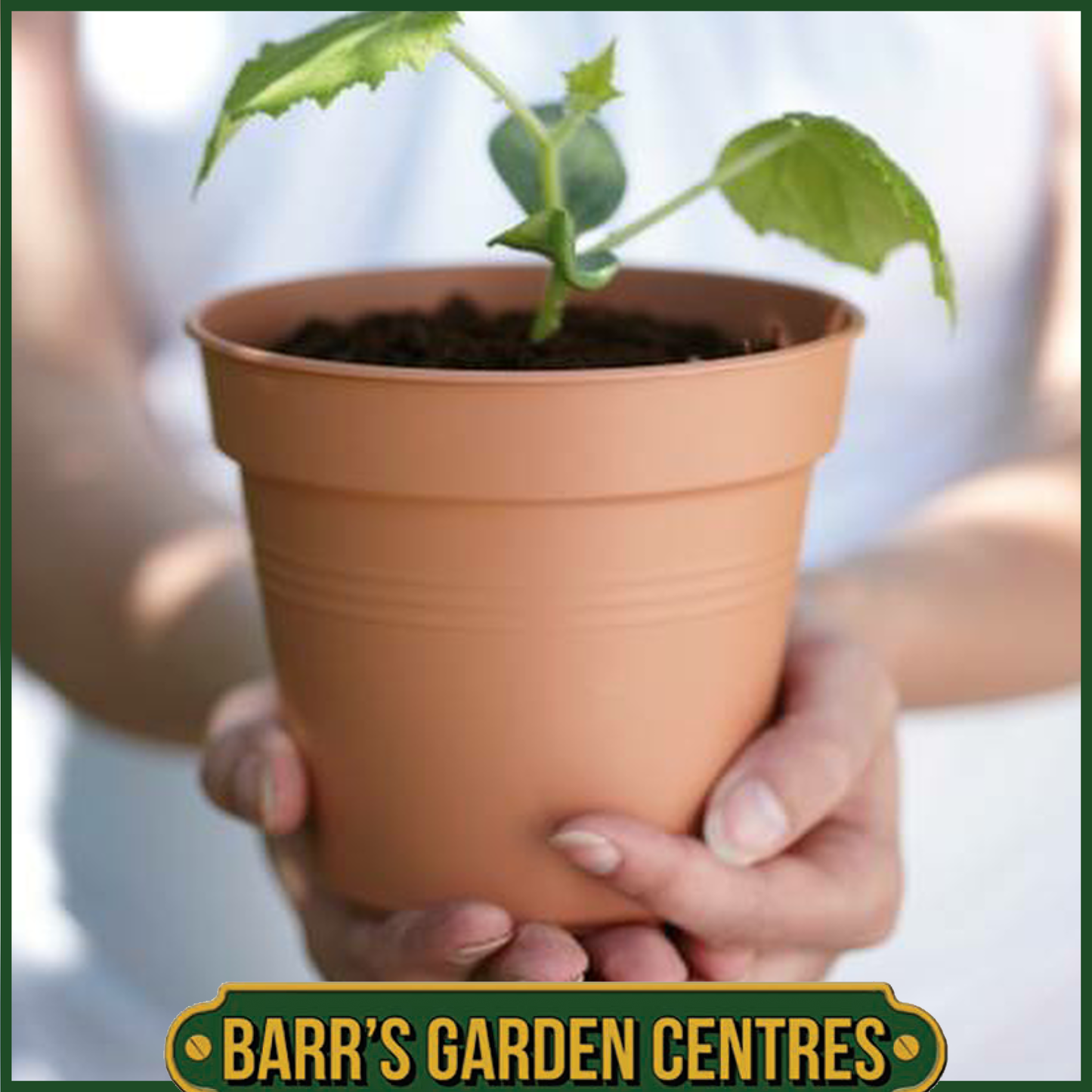 Elho Green Basics Growpot (Mild Terra)