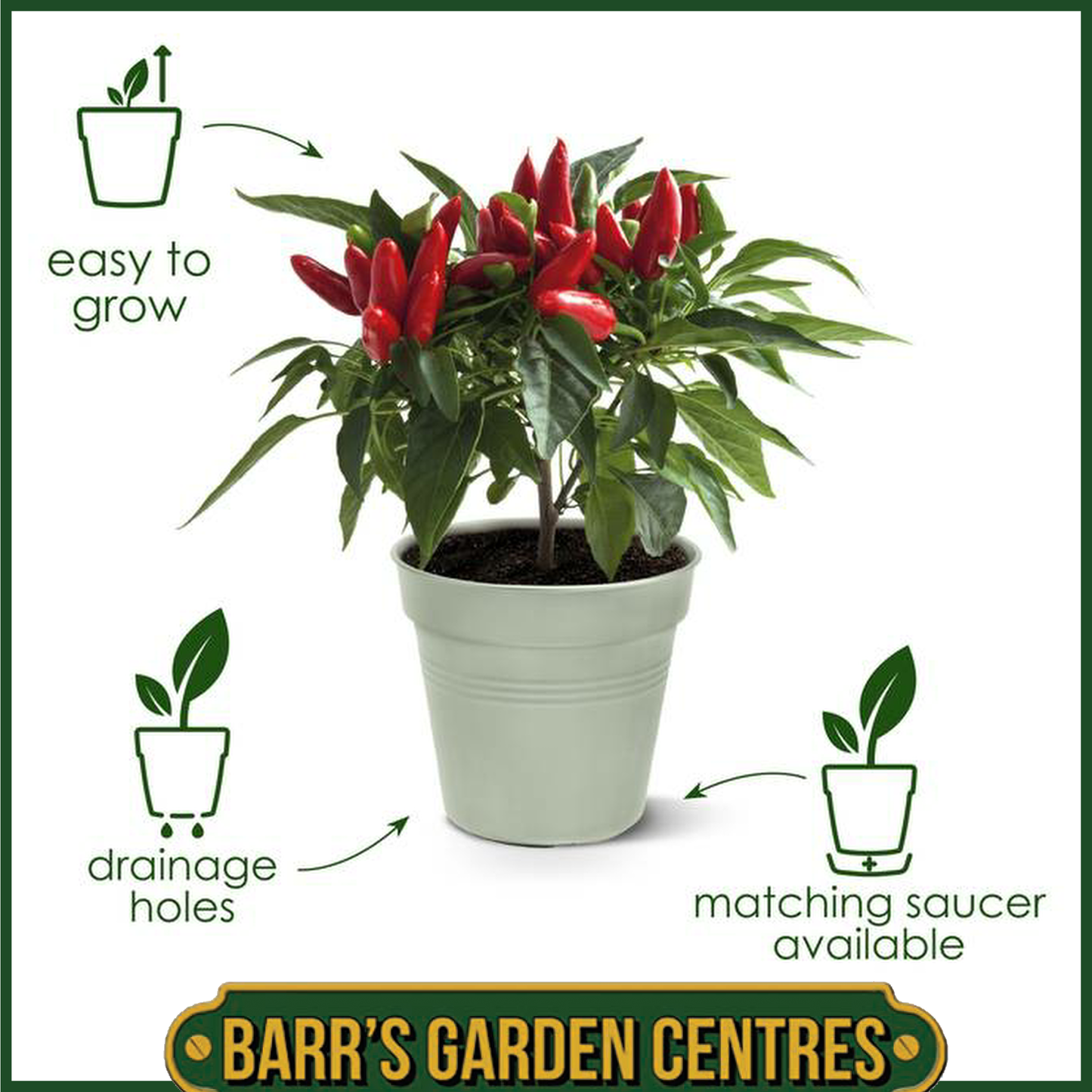 Elho Green Basics Growpot (Mild Terra)