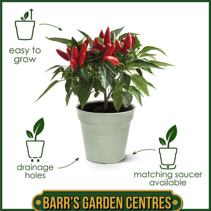 Elho Green Basics Growpot (Mild Terra)