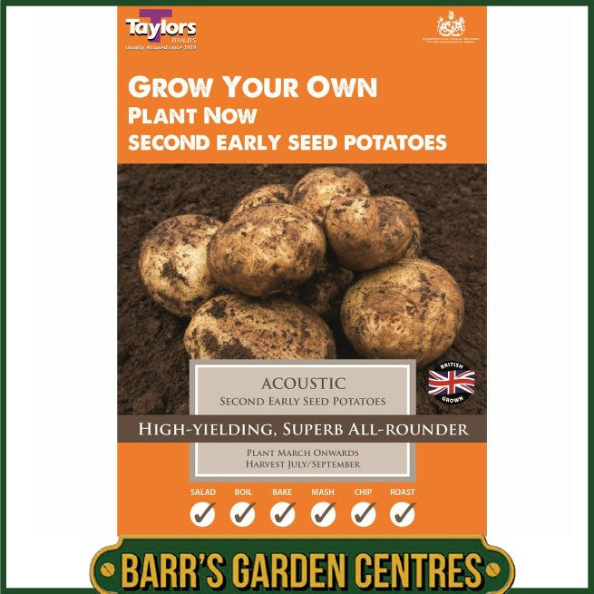 Acoustic Potatoes 10 Pack