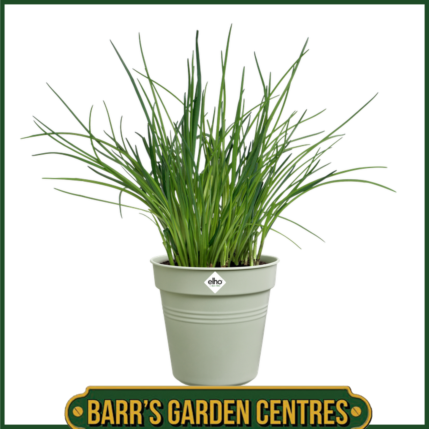 Elho Green Basics Growpot (Stone Green)