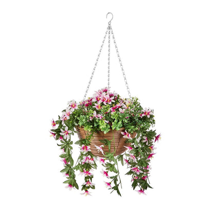 Smart Garden Regal Hanging Basket - Star Glazing Lilies
