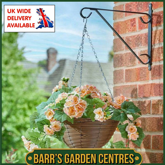 Smart Garden Regal Hanging Basket - Begonia Blooms