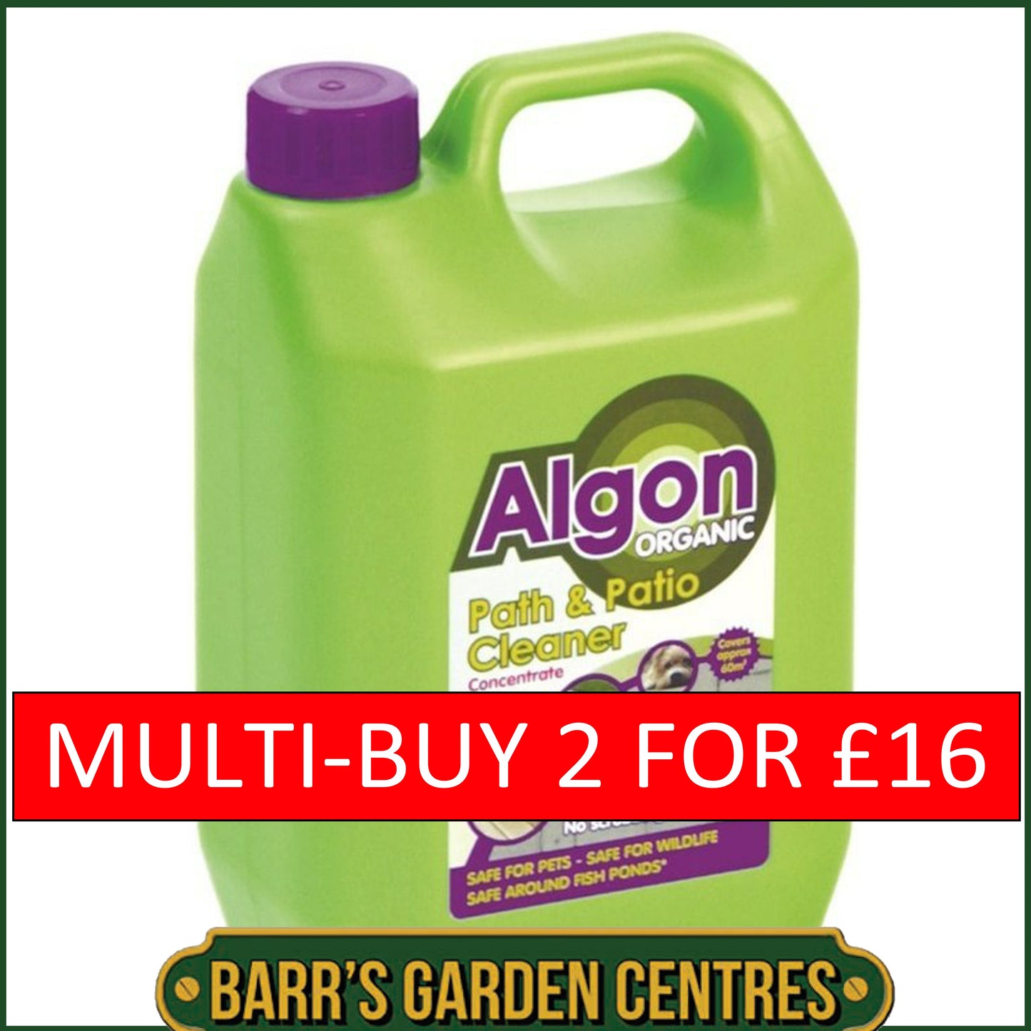 Algon 2.5 Litre Concentrate