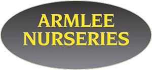 Nurseryman's Selection of Alpines in 1 litre pots