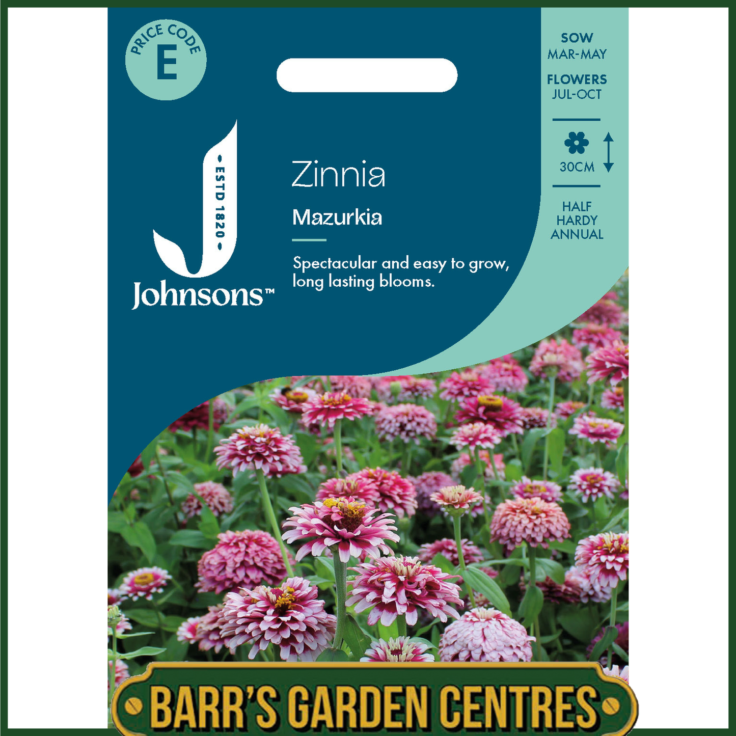 Johnsons - Zinnia Mazurkia - 50 Seeds