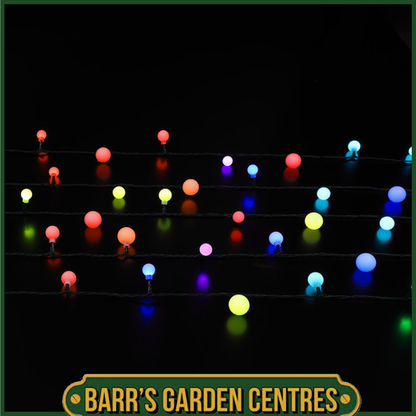 Noma Spectrum Berry String Lights