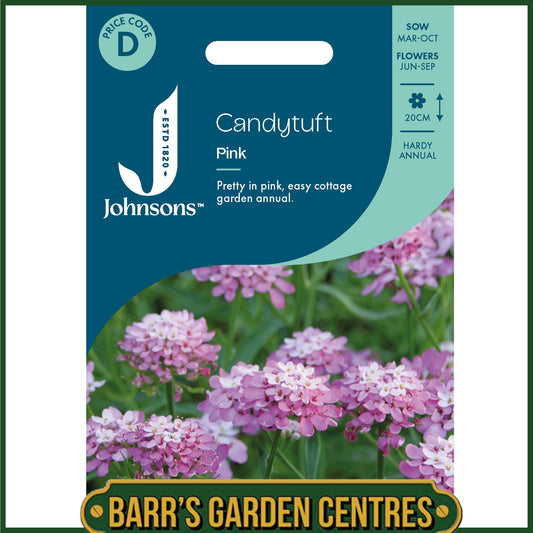 Johnsons - Candytuft Pink - 500 Seeds
