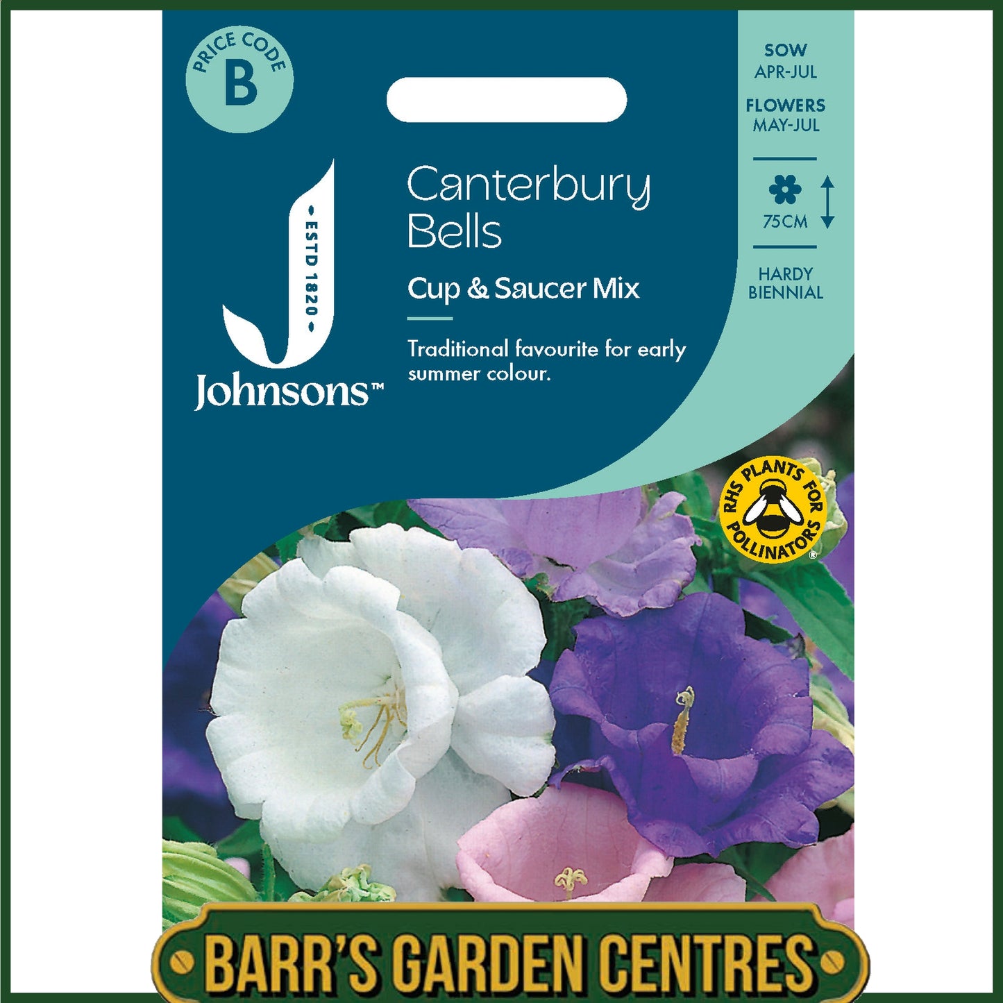 Johnsons - Canterbury Bells Cup & Saucer Mix - 600 Seeds