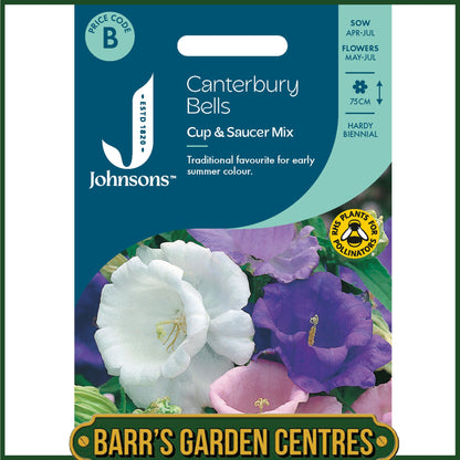 Johnsons - Canterbury Bells Cup & Saucer Mix - 600 Seeds