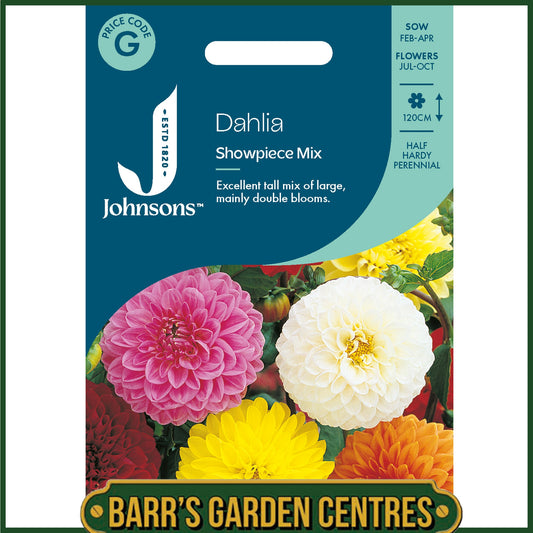 Johnsons - Dahlia Showpiece Mix - 40 Seeds