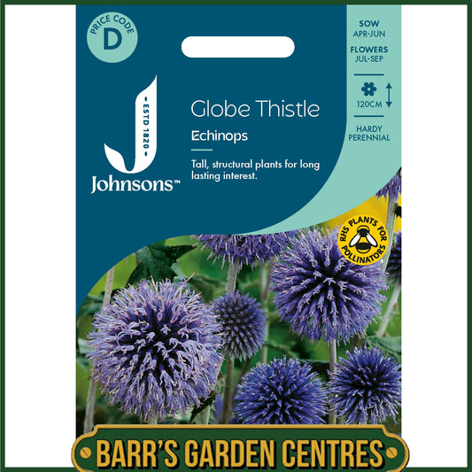 Johnsons - Globe Thistle - Echinops - 50 Seeds