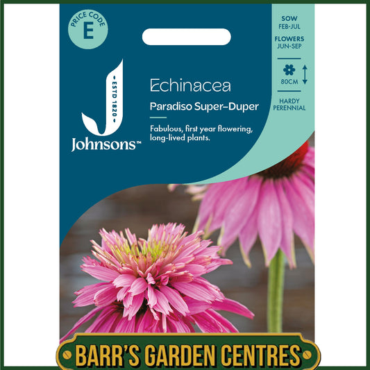Johnsons - Echinacea Paradiso Super - Duper - 10 Seeds