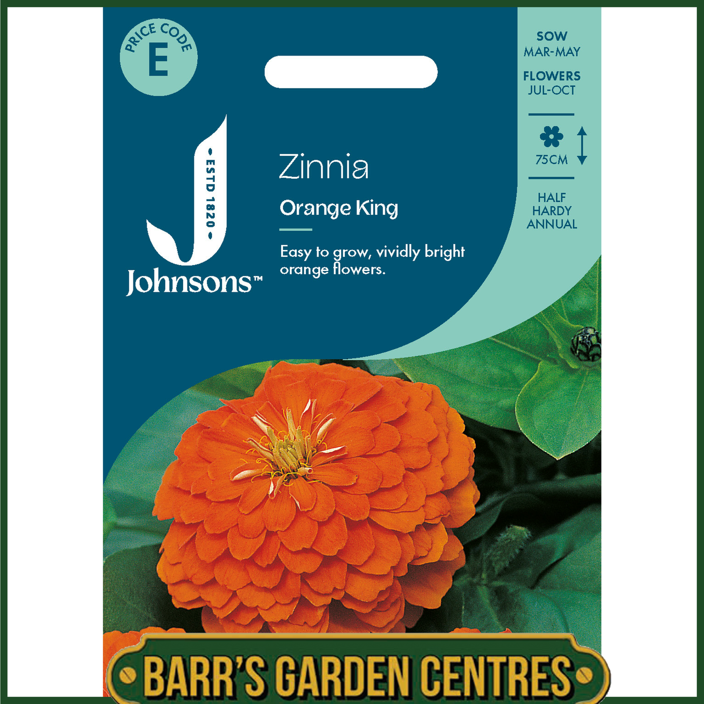Johnsons - Zinnia Orange King - 100 Seeds