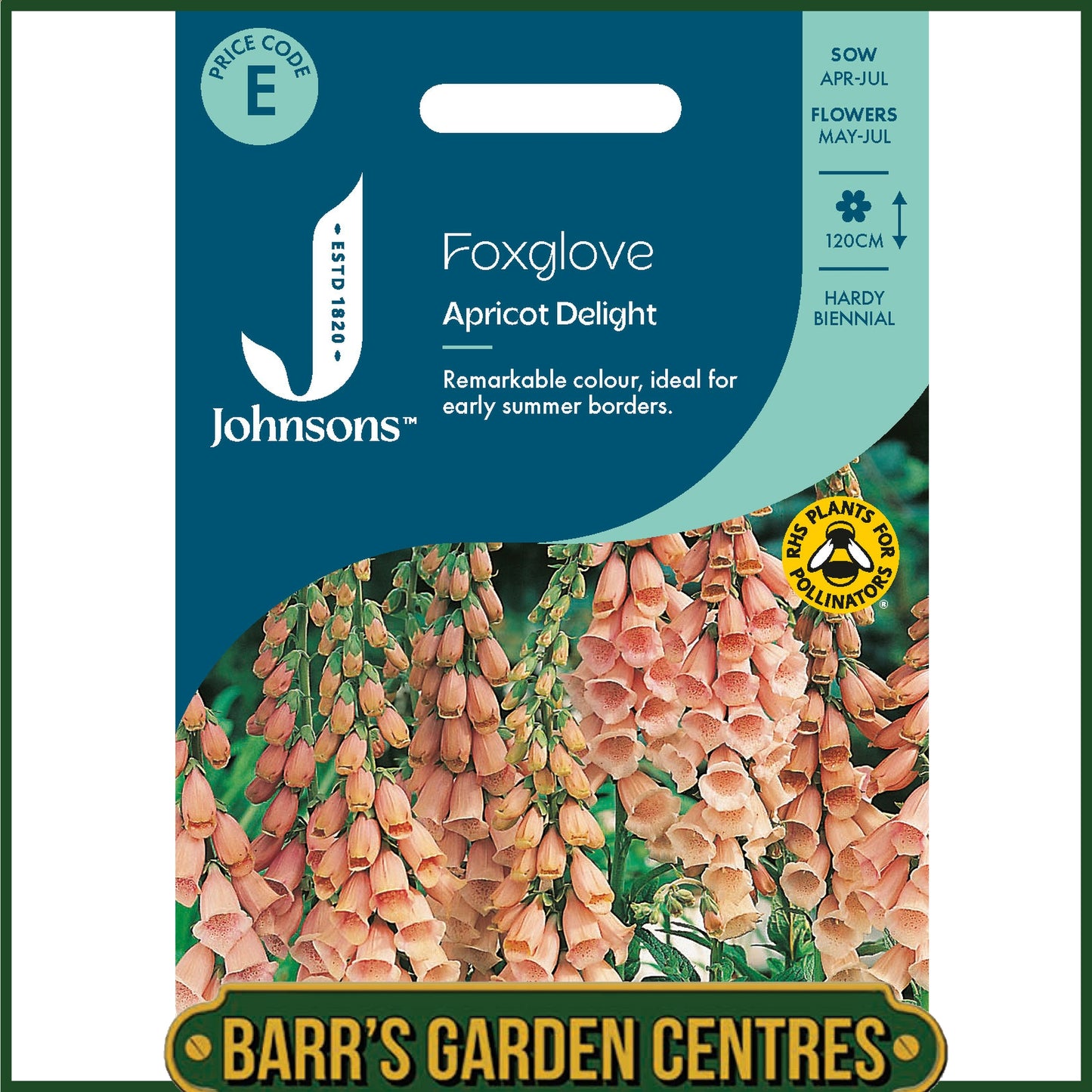 Johnsons - Foxglove Apricot Delight - 1000 Seeds