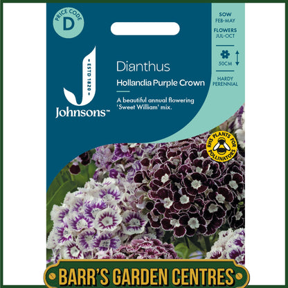 Johnsons - Dianthus Hollandia Purple Crown - 100 Seeds