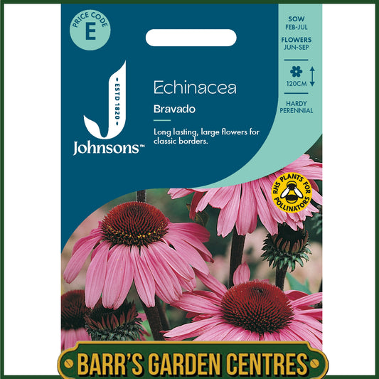 Johnsons - Echinacea Bravado - 50 Seeds