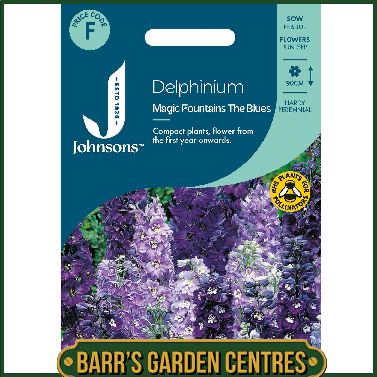 Johnsons - Delphinium Magic Fountains the Blues - 40 Seeds