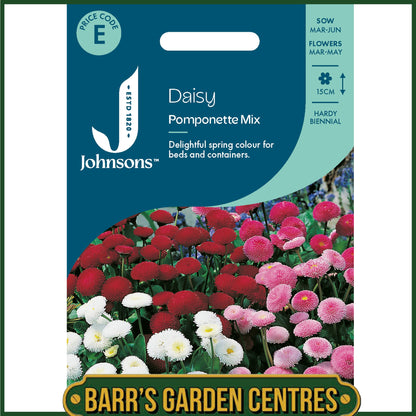 Johnsons - Daisy Pomponette Mix - 250 Seeds