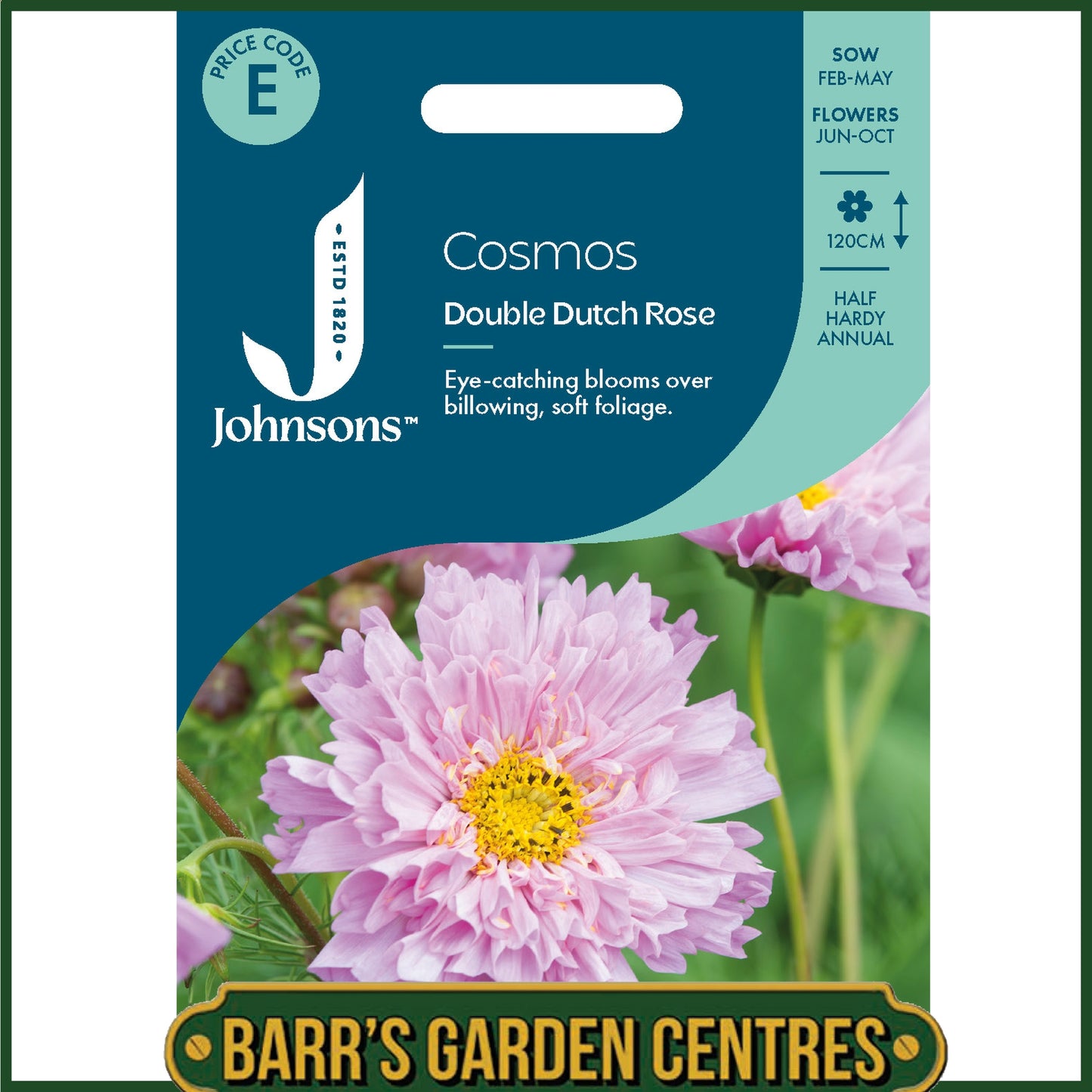 Johnsons - Cosmos Double Dutch Rose - 50 Seeds