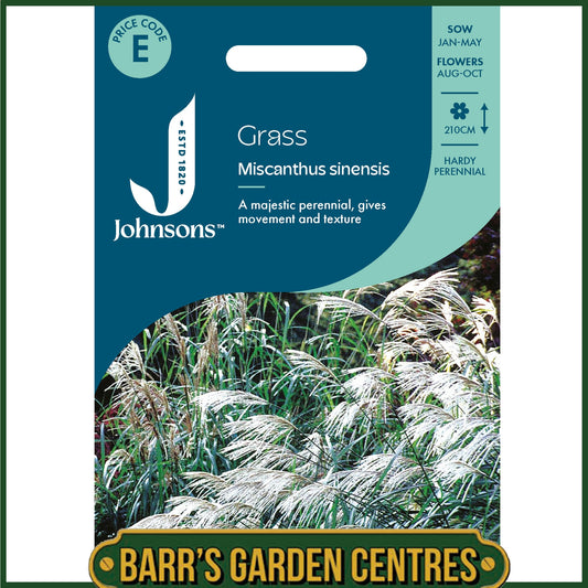 Johnsons - Grass Miscanthus Sinensis - 50 Seeds