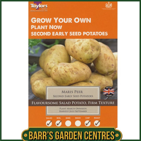 Nicola Potatoes 10 Pack