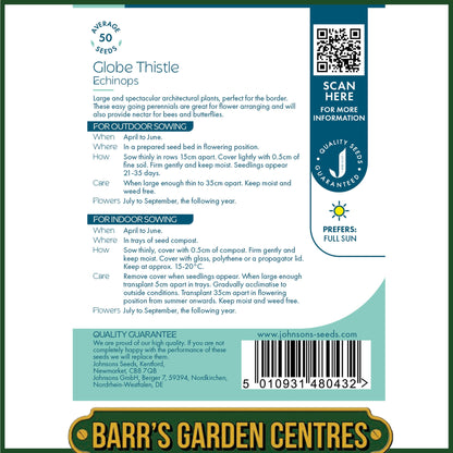Johnsons - Globe Thistle - Echinops - 50 Seeds