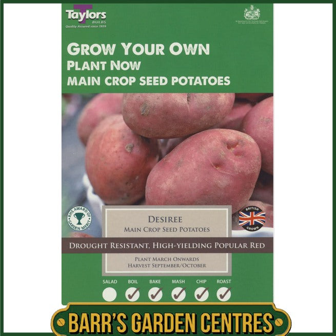 Desiree Potatoes 10 Pack