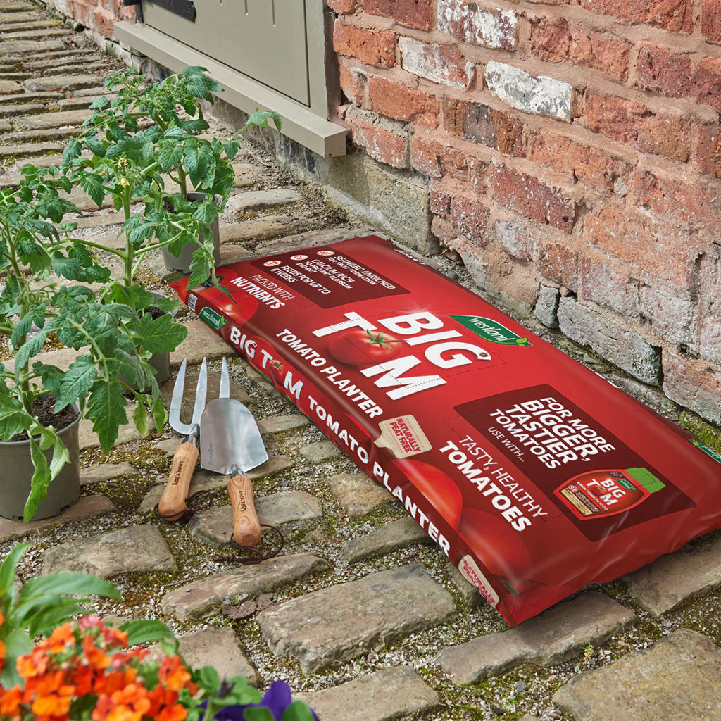 Westland Big Tom Peat Free Giant Tomato Planter 55 Litre