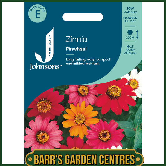 Johnsons - Zinnia Pinwheel - 100 Seeds
