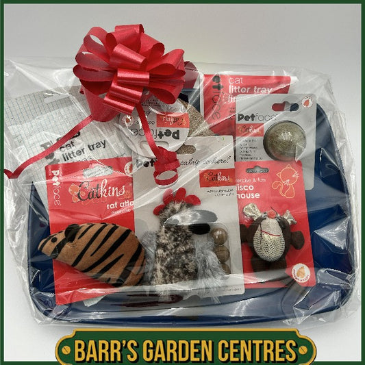 Christmas Hampers - Holiday Hamper for Cats