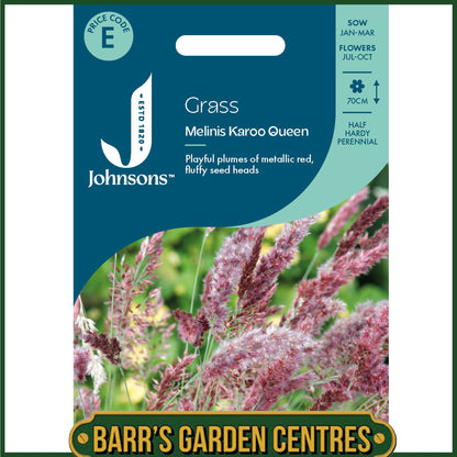 Johnsons - Grass Melinis Karoo Queen - 30 Seeds