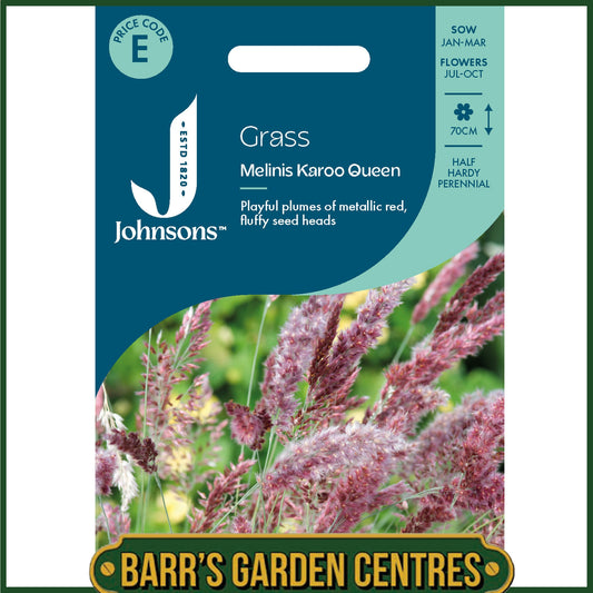Johnsons - Grass Melinis Karoo Queen - 30 Seeds