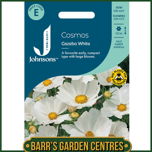 Johnsons - Cosmos Gazebo White - 75 Seeds