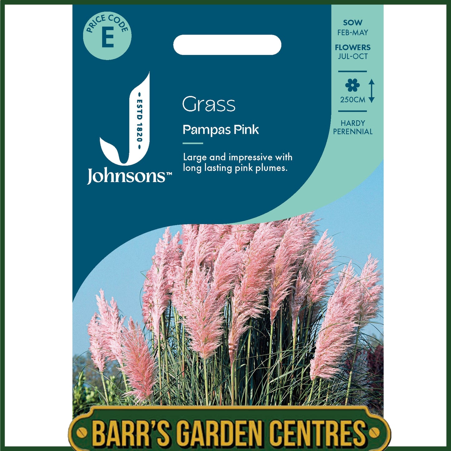Johnsons - Grass Pampas Pink - 75 Seeds