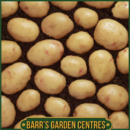 Albert Bartlett Osprey Potatoes 2KG